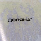 Подставка стеклянная под ложку Доляна «Лаванда», 23,5×8,3 см - фото 4304168