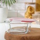 Контейнер двухсекционный из жаропрочного стекла Доляна «Клик», 400/400 мл, 18×7,5 см, с крышкой - фото 24282332