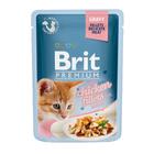 Влажный корм Brit Premium для котят, кусочки куринного филе в соусе, 85 г - Фото 4