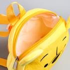 Рюкзак детский дошкольный плюшевый, 18.5 см × 5 см × 22 см «Мишка», Медвежонок Винни и его друзья - Фото 4