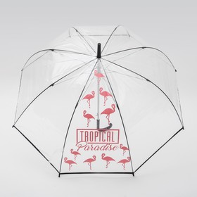 Зонт-купол Tropical Paradise, 8 спиц, d = 88 см, прозрачный