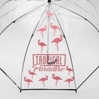 Зонт женский механический, купол Tropical Paradise, 8 спиц, d = 88 см, прозрачный, механический 4753199 - фото 16495719