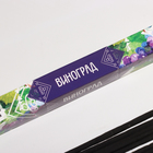 Благовония «Дыхание природы Виноград», 8 палочек - Фото 2