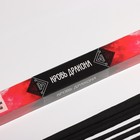 Благовония «Дыхание природы Кровь дракона», 8 палочек - Фото 2