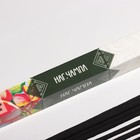 Благовония «Дыхание природы Наг Чампа», 8 палочек - Фото 2