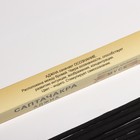 Благовония «Саптачакра Аджна Муск», 10 палочек - Фото 3