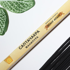 Благовония «Саптачакра Манипура Иланг-иланг», 10 палочек - Фото 2