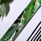 Благовония «Очарование востока Эвкалипт», 20 палочек в упаковке - Фото 2