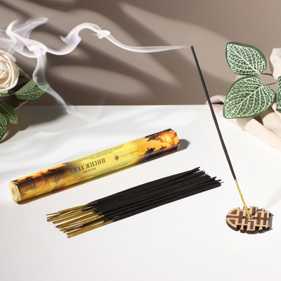 Благовония «Сила жизни», 20 палочек в упаковке, шестигранник