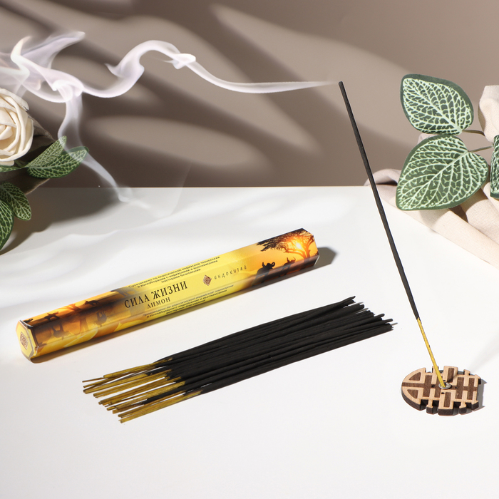 Благовония «Сила жизни», 20 палочек в упаковке, шестигранник