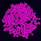 Грунт декоративный флуоресцентный DECOR DE, фр. 8-12 мм, пурпурный, 800 г - Фото 2