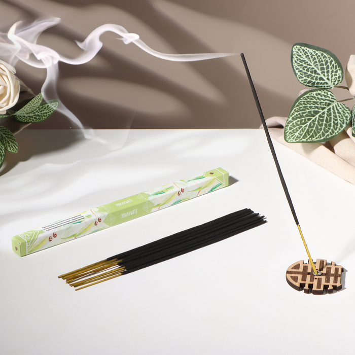 Благовония «Дыхание природы Эвкалипт», 8 палочек