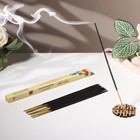 Благовония «Саптачакра Сахасрара Хвоя», 10 палочек - Фото 1