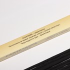 Благовония «Саптачакра Сахасрара Хвоя», 10 палочек - Фото 3