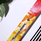 Благовония "Очарование востока Сочное манго", 20 палочек в упаковке - Фото 2