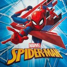 Детское постельное бельё 1.5 сп "Spider-Man" 143*215 см,150*214 см, 50*70 1 шт, поплин - Фото 3