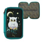 Пенал школьный, 2 секции, 12.5×20.5×4 см «Совушка» - Фото 1