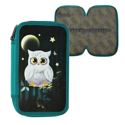 Пенал школьный, 2 секции, 12.5×20.5×4 см «Совушка»
