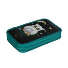 Пенал школьный, 2 секции, 12.5×20.5×4 см «Совушка» - Фото 2