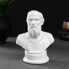 Бюст «Достоевский», белый, 12×7.5 см - фото 47119221