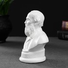 Бюст «Достоевский», белый, 12×7.5 см - фото 47119222