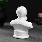 Бюст «Достоевский», белый, 12×7.5 см - фото 47119223