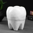 Копилка "Зуб" белый, 13х14х19см - фото 301435335