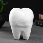 Копилка "Зуб" белый, 13х14х19см - Фото 2