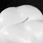 Копилка "Зуб" белый, 13х14х19см - Фото 3