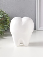 Копилка для денег «Зуб», гипс, белый, 13×14×19 см  (артикул 4877889)  большой выбор товаров оптом и в розницу по низким ценам с доставкой