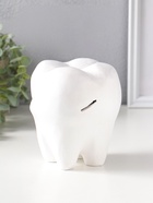Копилка для денег «Зуб», гипс, белый, 13×14×19 см  (артикул 4877889)  большой выбор товаров оптом и в розницу по низким ценам с доставкой