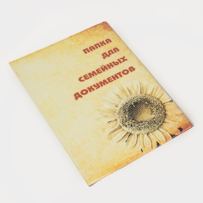 Папка для семейных документов А4, 1 комплект, цвет оранжевый