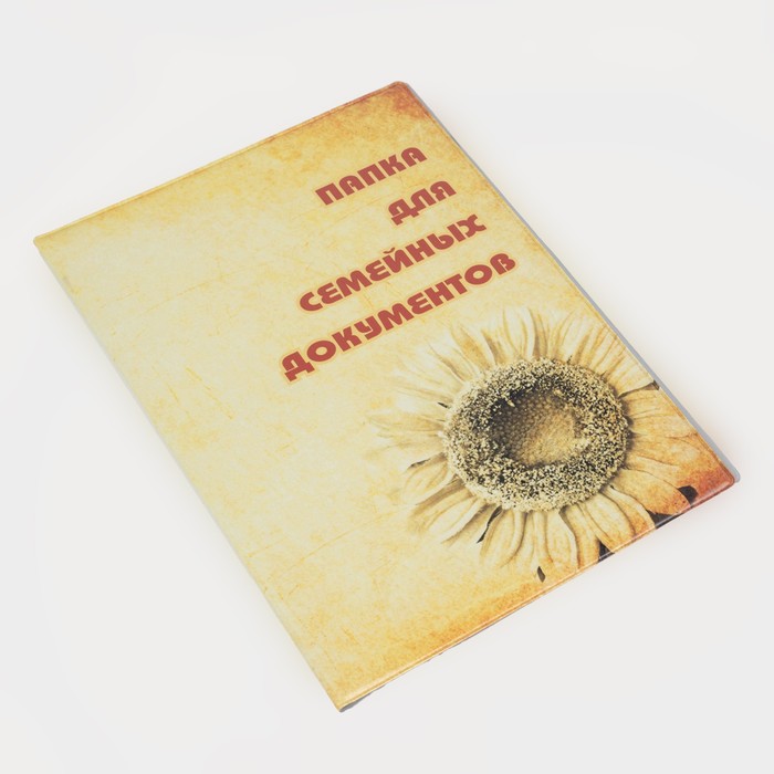 Папка для семейных документов А4, 1 комплект, цвет оранжевый - Фото 1