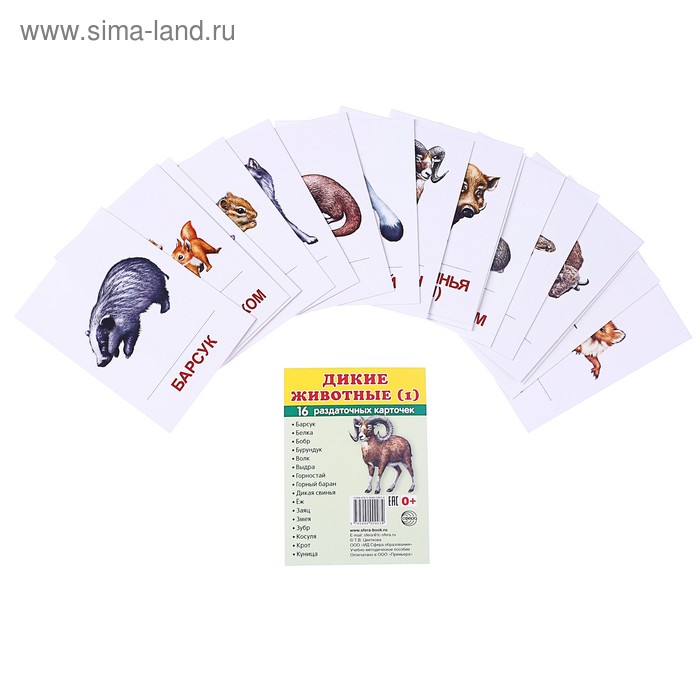 Карточки обучающие "Дикие животные-1" 16 шт., 6,3 х 8,7 см - Фото 1