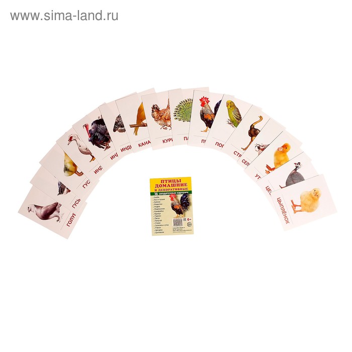 Карточки обучающие "Птицы домашние и декоративные" 16 шт., 6,3 х 8,7 см - Фото 1