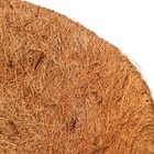 Вкладыш в кашпо, d = 35 см, кокос, «Сфера» - Фото 2