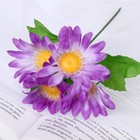 Букет "Сочная ромашка" 20 см, d-цветка 8 см, микс - Фото 1