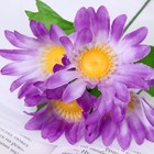 Букет "Сочная ромашка" 20 см, d-цветка 8 см, микс - Фото 2
