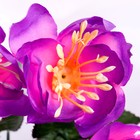 Букет "Шиповник" 30 см, d-цветка 8 см, микс - Фото 2