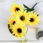 Букет "Подсолнух" 30 см, d-цветка 9 см, мини - Фото 1