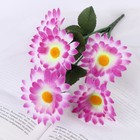 Букет "Гербера" 30 см, d-цветка 8 см, микс - Фото 1