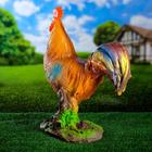 Садовая фигура "Петух" - Фото 6