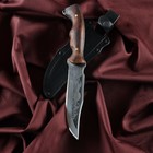 Нож кавказский, туристический "Восток" с ножнами, сталь - 40х13, рукоять - орех, 14 см - фото 12040901