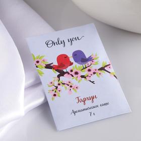 Аромасаше "Only you", тархун, вес 7 г, размер 7×10.5 см 4879908