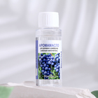 Эфирное масло для доливки в диффузор «Виноград», длительного действия, 30 мл - Фото 1