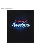 Предметная тетрадь по алгебре Calligrata «Неон», 48 листов, в клетку, со справочным материалом, обложка из мелованного картона - фото 120333185