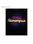 Предметная тетрадь по геометрии Calligrata «Неон», 48 листов, в клетку, со справочным материалом, обложка из мелованного картона - Фото 4
