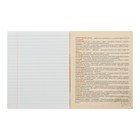 Тетрадь предметная "Неон. Литература", 48 листов в линейку, со справочными материалами, блок офсет, обложка мелованный картон, УФ-лак - Фото 3