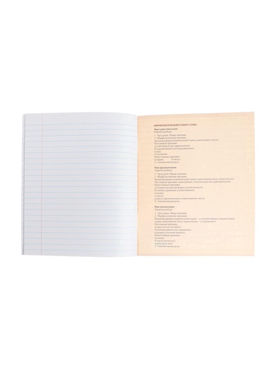 Предметная тетрадь по русскому языку Calligrata «Фото», 48 листов, в клетку, со справочным материалом, обложка из мелованного картона