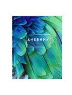 Дневник школьный для 5-11 классов, «Перья», твёрдая обложка 7БЦ, глянцевая ламинация, 48 листов - Фото 3